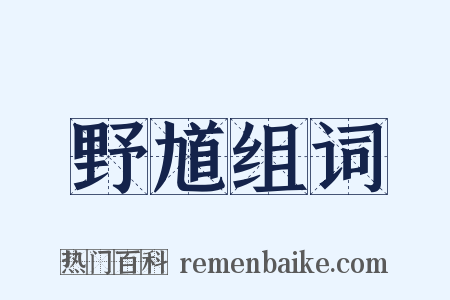 野馗组词是什么意思的图片